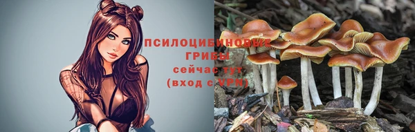 прущая мука Вязники