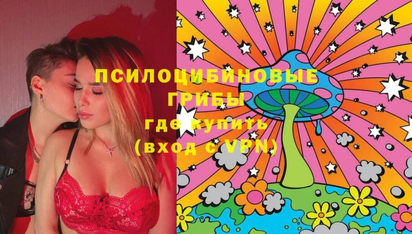 тгк Кукмор