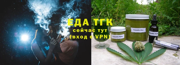 ешки Менделеевск