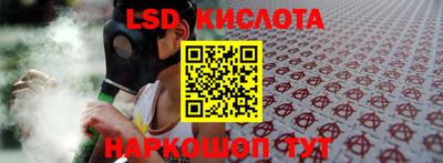 гашик Донской