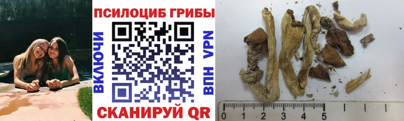 Псилоцибиновые грибы мухоморы  нарко площадка состав  OMG зеркало  Мытищи  купить наркотик 