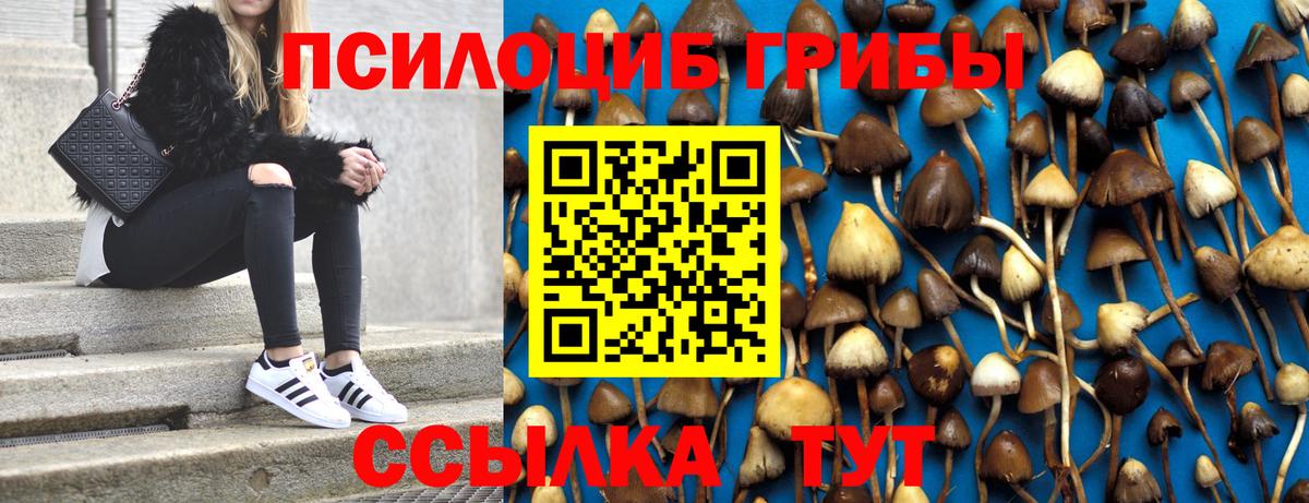 Галлюциногенные грибы прущие грибы  как найти наркотики  Мытищи  Галлюциногенные грибы Cubensis  Вход с VPN 