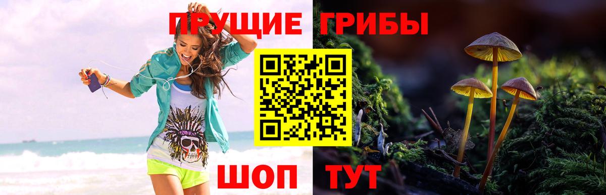 Псилоцибиновые грибы ЛСД  Мытищи 